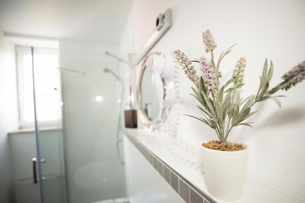 Hotel Weisse Muehle Breitenworbis Bagian luar foto
