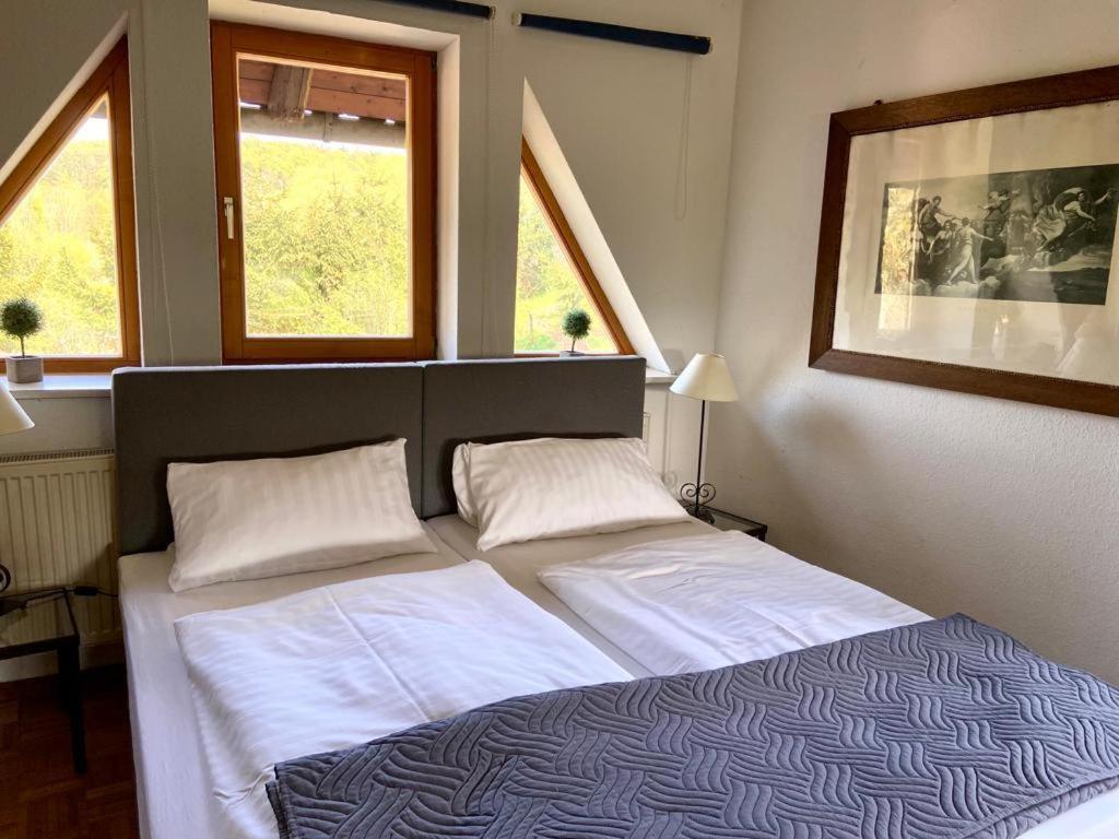 Hotel Weisse Muehle Breitenworbis Bagian luar foto